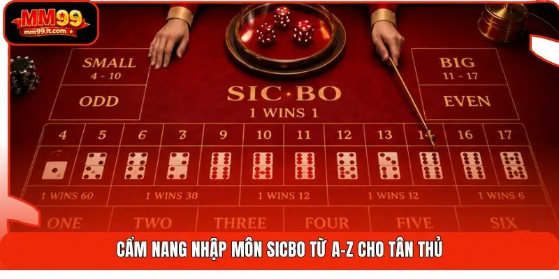 Cẩm nang nhập môn Sicbo từ A-Z cho tân thủ