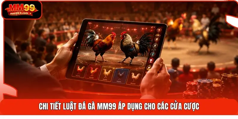 Chi tiết luật đá gà MM99 áp dụng cho các cửa cược