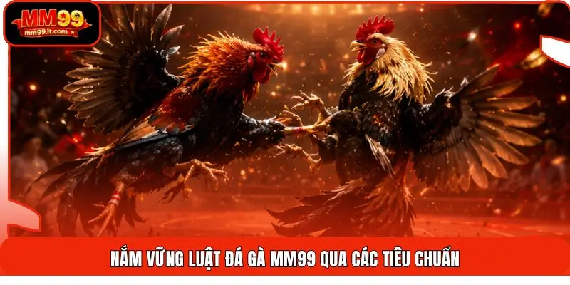 Nắm vững luật đá gà MM99 qua các tiêu chuẩn