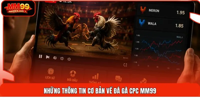 Những thông tin cơ bản về đá gà CPC MM99