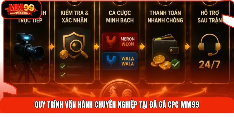 Quy trình vận hành chuyên nghiệp tại đá gà CPC MM99